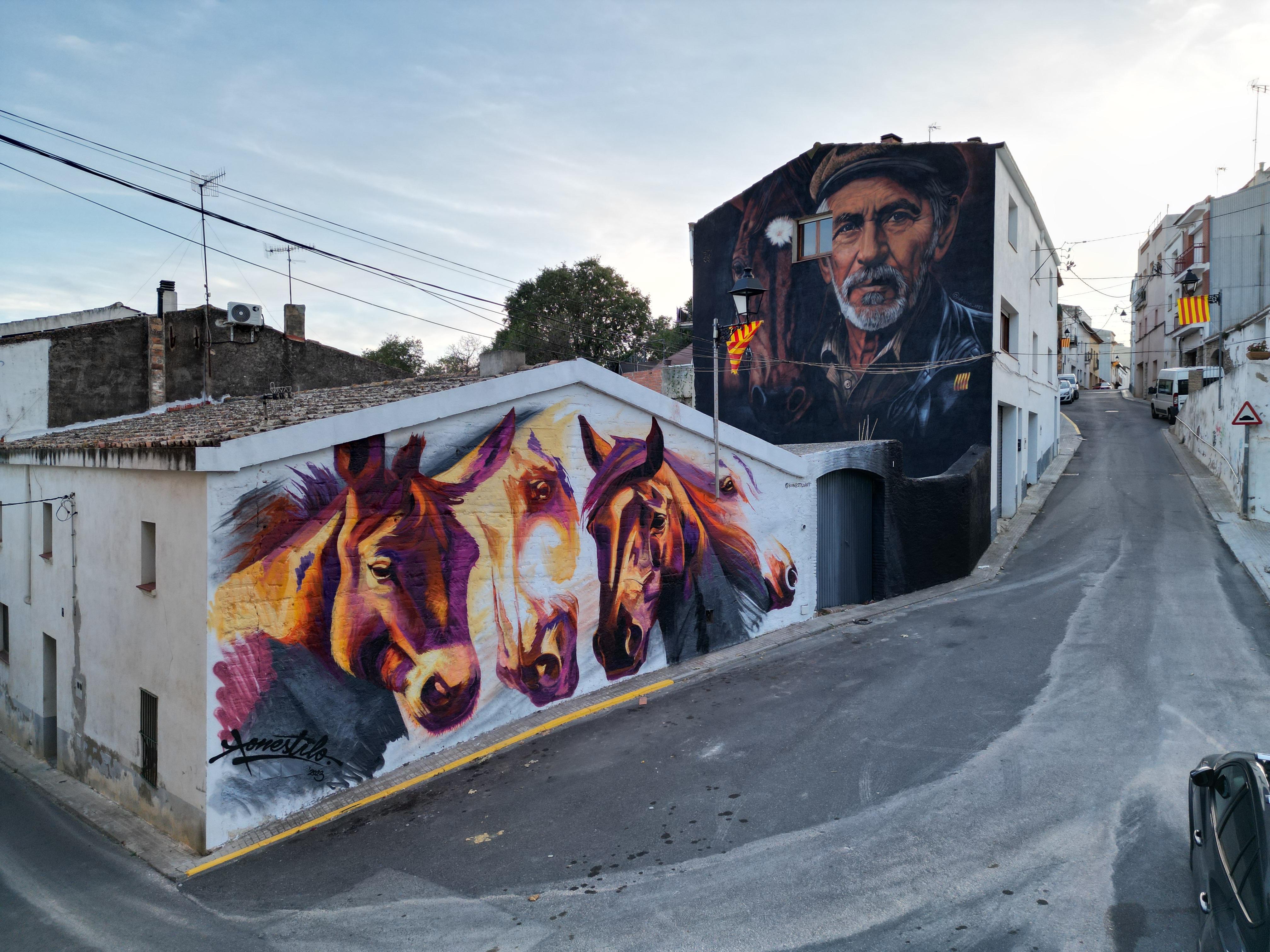 Galería: Mural l,avi i el cavall - Imagen 2